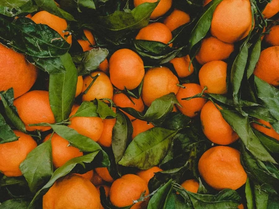 Citrice și fructe de import